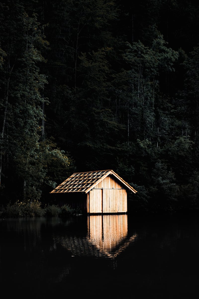 Woodland Cabin