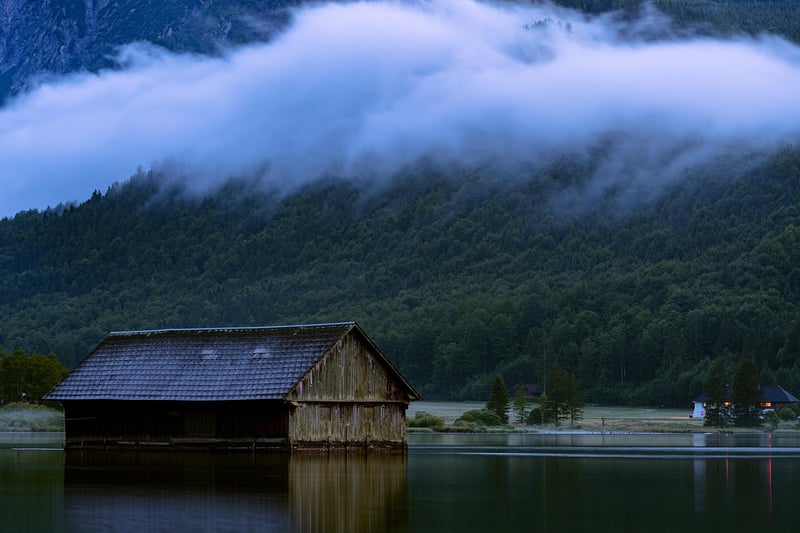 Forest Cabin