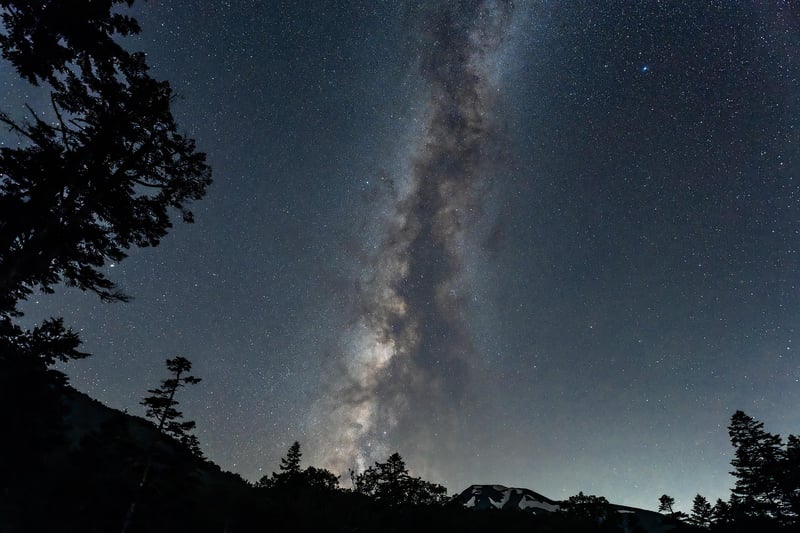Starry Night in the Forest